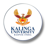 Kalinga University